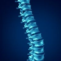 imagen de una columna vertebral